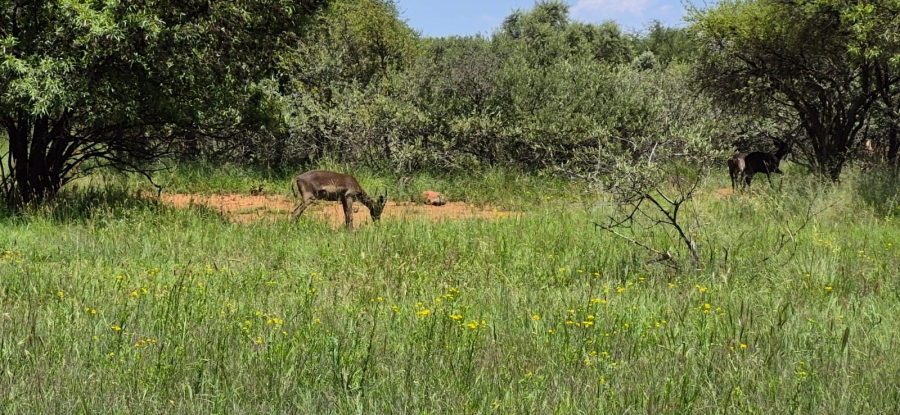 5 Bedroom Property for Sale in Rustenburg Rural North West